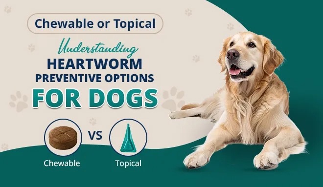 DPC Blog Chewable or Topical