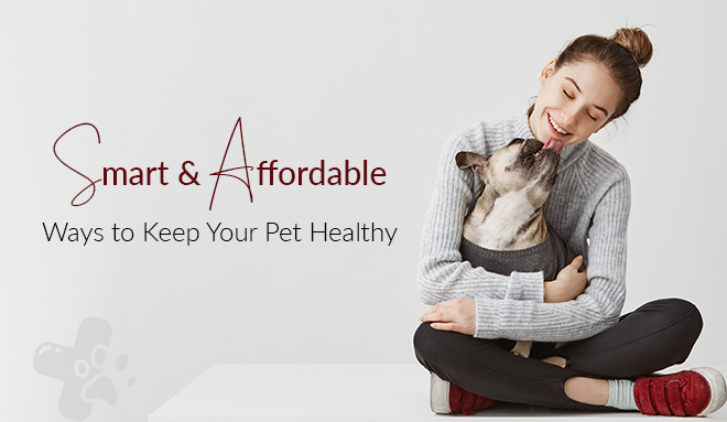 Smart_affordable_ways_to_keep_your_pets_healthy