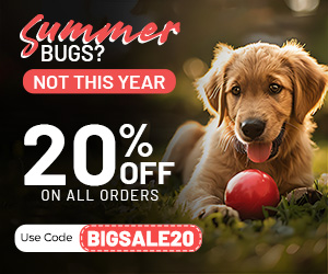 Summer Sale 20% off