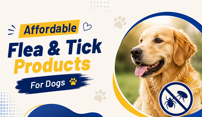 Affordable Flea & Tick Products for Dogs